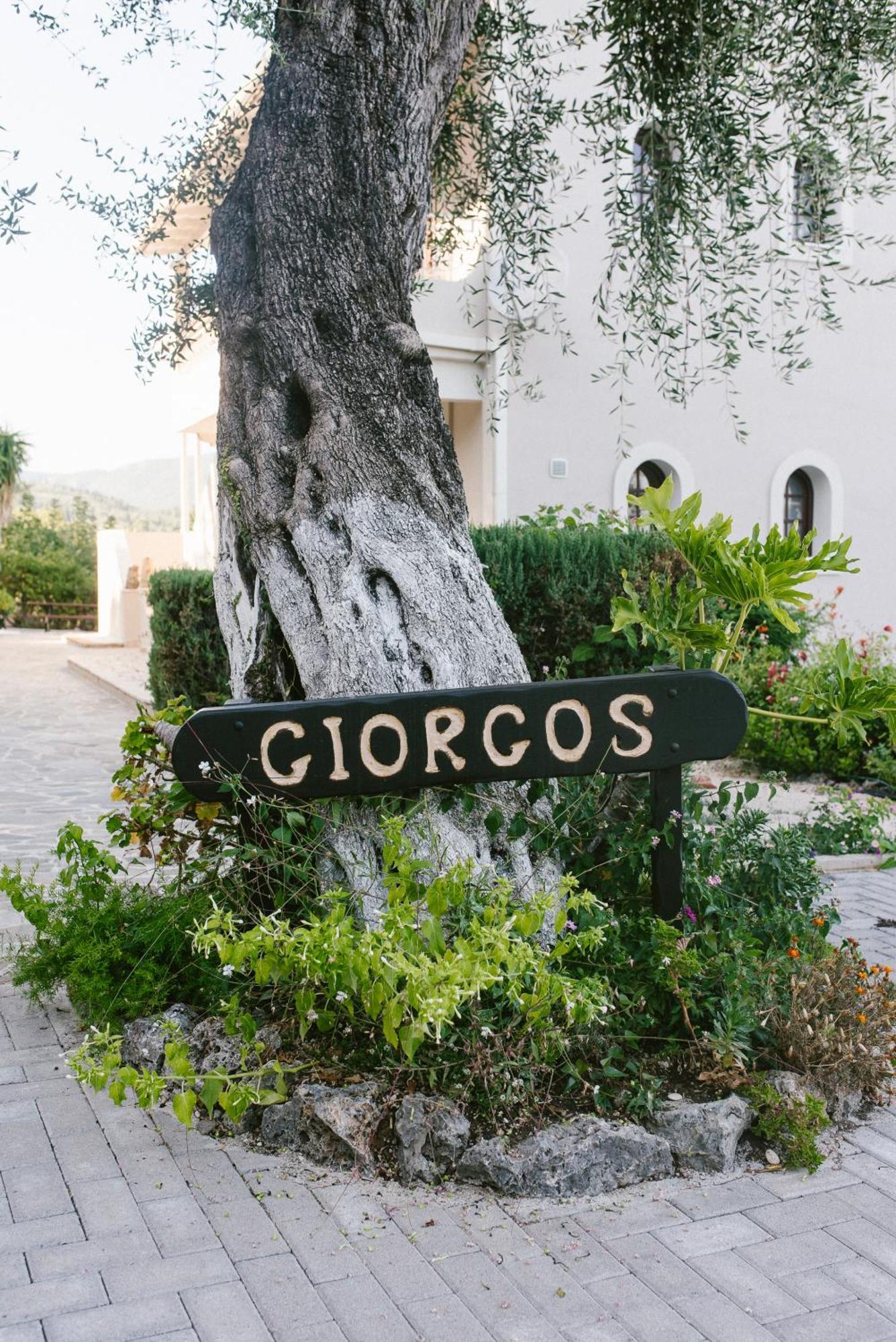 Giorgos Apartments Δασιά Εξωτερικό φωτογραφία